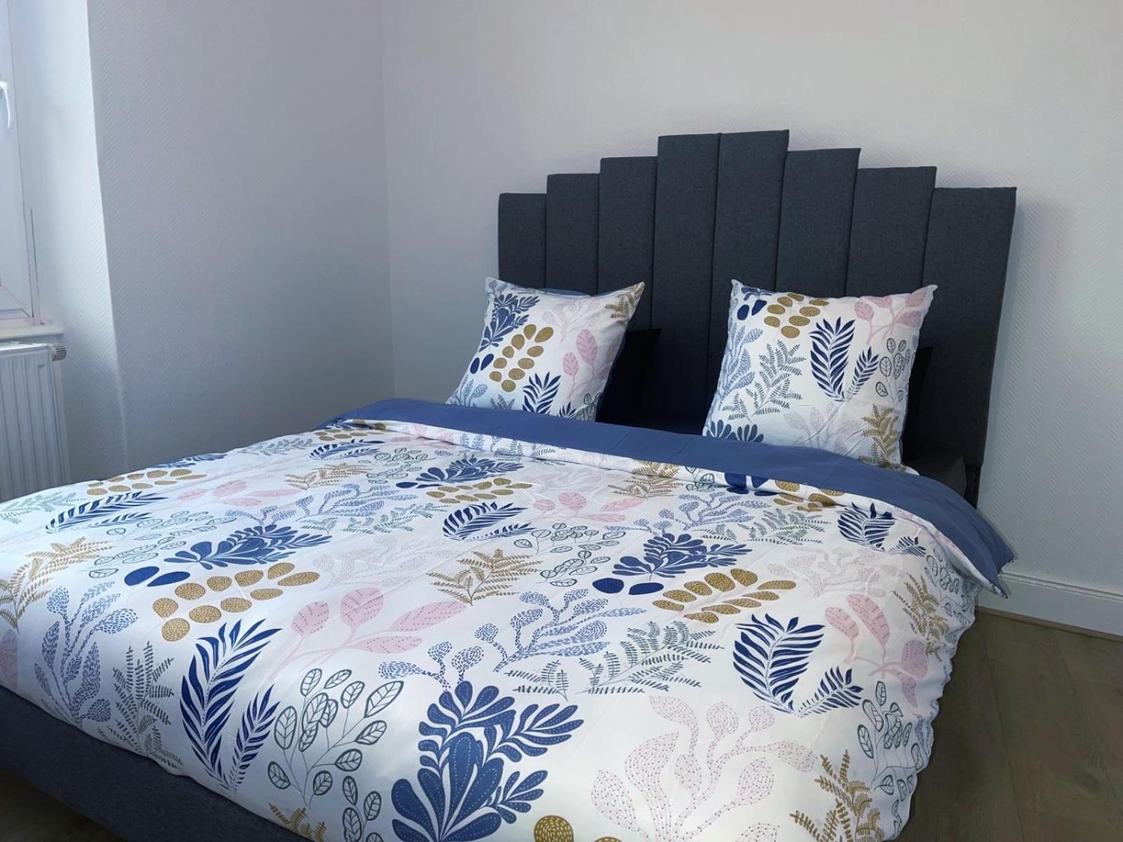 Magnifique Appartement Charmant T3 80M2 Parking Gratuit Rosheim Buitenkant foto